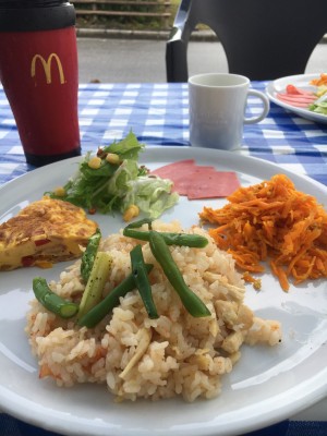 0100e9928259e37f715afa3d819d2d71fdc2c473de