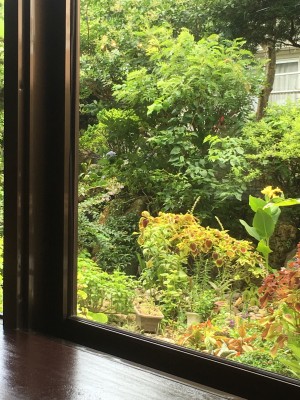 0109b46667db7d9f04a72bae27712b063d8bba0a81