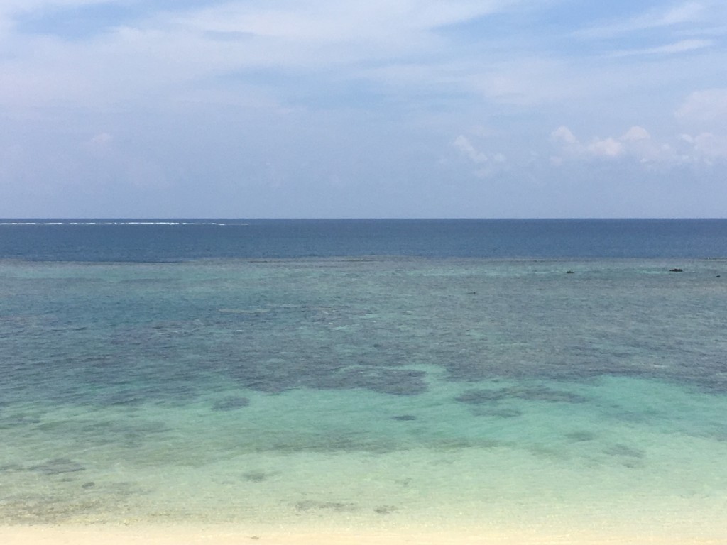 016c4e23596b6729ff782ebd6563c0053e45a3f124