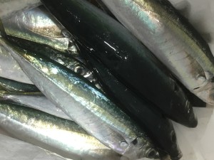 016c76ced67496e0aa2d0c5bbd246e20c78d545a25