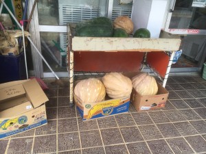 01d72e0b1a746804d3b50b1e33f88c31313c41fcc3