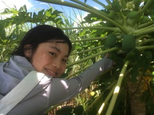 01f1e0da92af5d32e3fd41f02fc2f29b2959260345