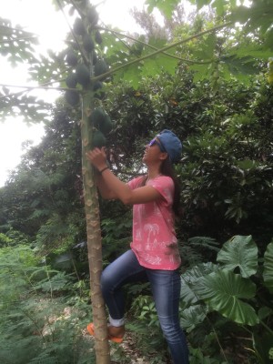 01ba9c170a2c3cb5670afac52224e4e2e6ba17d752 - コピー