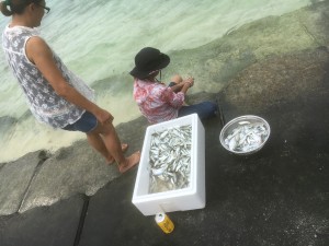 01081e1bee547ecbba476fe3ed0102ea3ddb8868b5