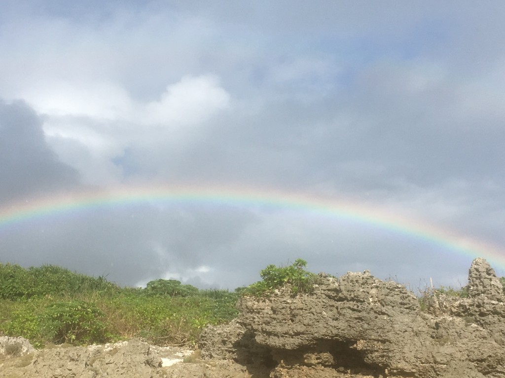 011d81cb02784033e085bdb219931a34d0ec965d41