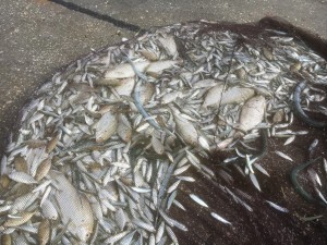 0199598862a2068a552d0ba7e27d9cd492c0116946