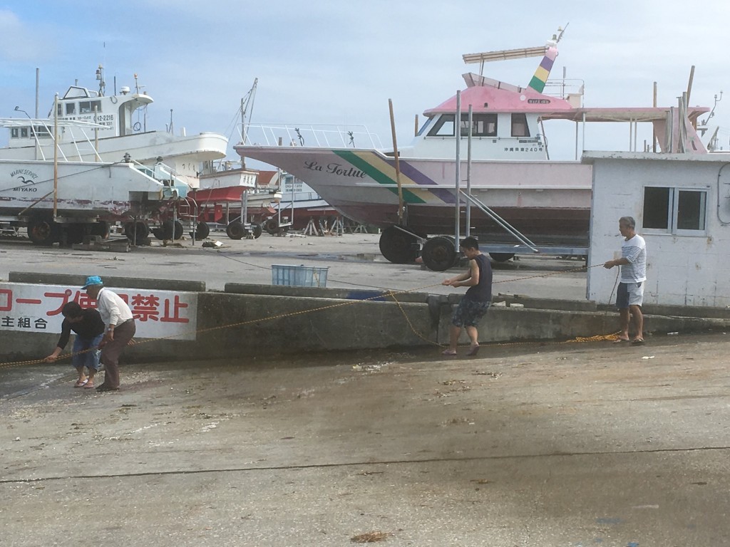 019d90816adee5f0662d463931abcaefc402493623