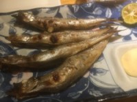 01bc152d023d2805aa11c2b40f53005bd15968aa3b