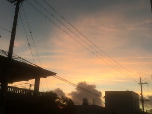 014f4cc6925f8bf5ac9141ea4c28c7d680dec2c7b1