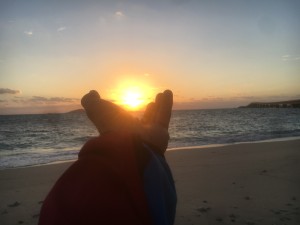 0152c434341d711d363b69a8519437637e7a89f442