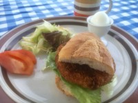 01835496edf500a8daa2776a196b440b98cd42bce3