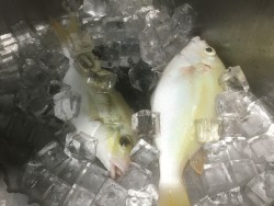 011758b71d7e763eaa9deb8dc28380514bce4c649f