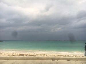 01c00847231129861beb0594bfa4c6a7107ac1cc88