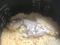 01e99aecdc8607641f0a8073f6ca648b7198bebc09