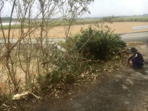 0127eaac30c6148613884715046e0a1c53957130f8