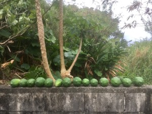 01a64c789b07bcc02e36ea02b5f88b429352b127a3