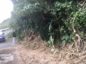 01b2565e28dfbacb3fe5eaf4a0d94d307870d21d63