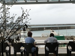 01194b37840ce9f745489a90d8a291beec50240df9