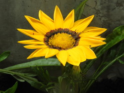 DSCN0139 - コピー