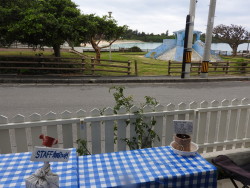 DSCN0119 - コピー