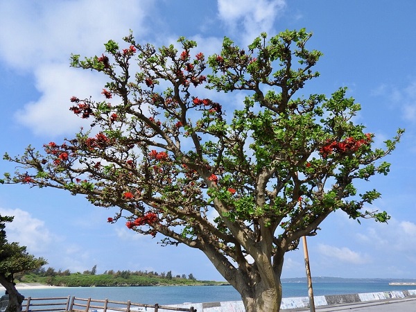 01176b81e46bc3060804fb73999c858f593f06997d