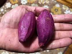 0131e4cc0ced425a2198d87c91bf28a3efad86e8fc