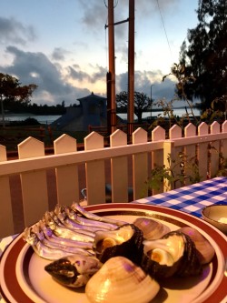 018e5bfa9bb3dca4691e817f5045d0bf3dd761f6c1