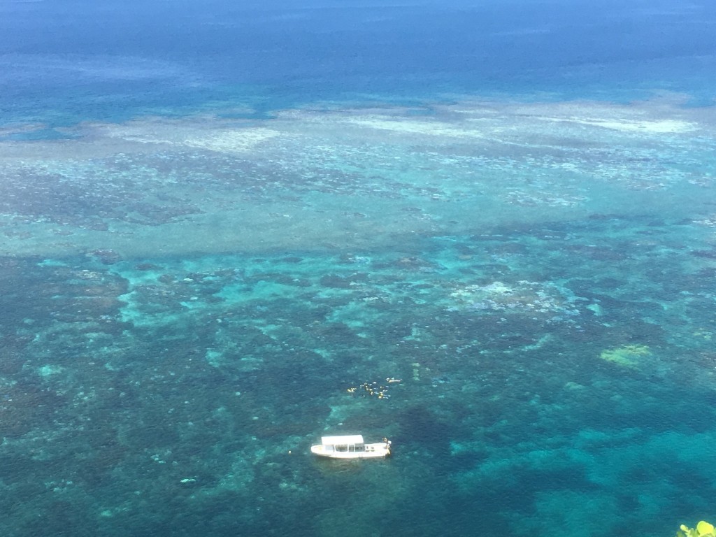 01af39594a8625dceb3f847b855d83020084478fc9