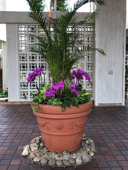 01afa7da67464d9e85e22f88126f30f5efd59e5fd5