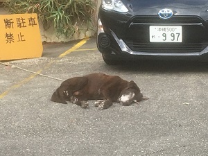 01be1ac9b2e18da8cf16add02784fd6bb1252d5a29