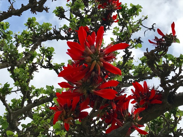 01bf97b2e0386e981c8fd40970b36236f1b50720a6