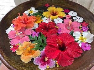 01bfbe8892b4854a193274181823cfac4171fa056a