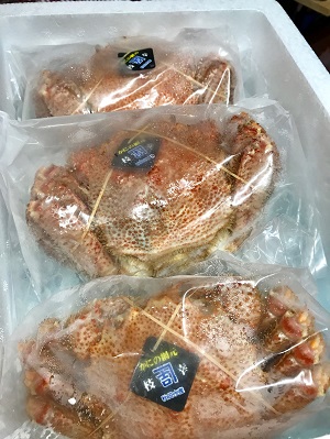 01de038b29575e8c650a7ffce8c6de2e578a5391ef_00001