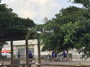 01f52deef7d5568a475bd18b5a901f9ca617862538