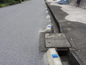 DSCN1088 - コピー