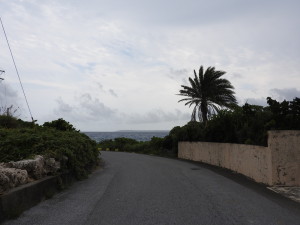 DSCN1071 - コピー