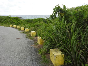 DSCN1086 - コピー