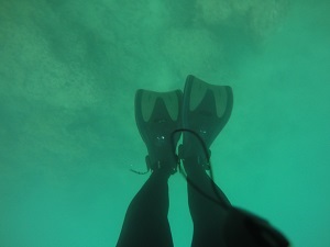 DCIM100GOPROGOPR0472.
