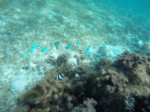 DCIM100GOPROGOPR0518.