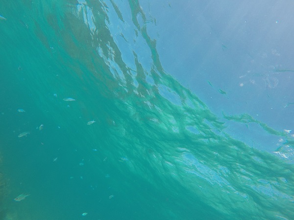 DCIM100GOPROGOPR0524.