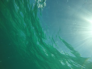 DCIM100GOPROGOPR0529.