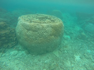 DCIM100GOPROGOPR0602.