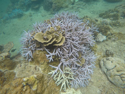 DCIM100GOPROGOPR0937.