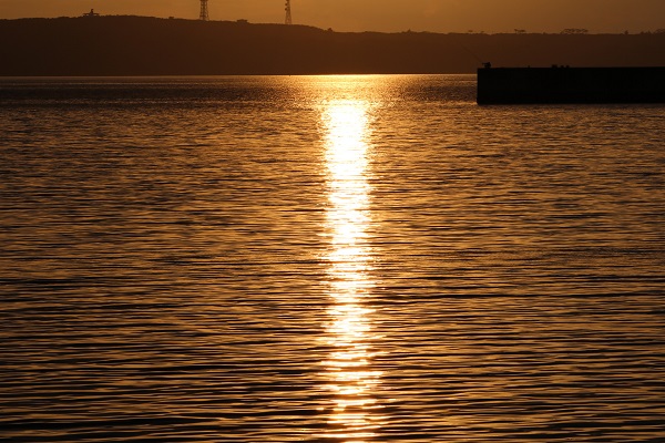 011715d32e87de8bf280a19d1e5c804c3516fb11a2