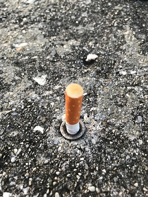 013d323bc102e6d527511cbf07a1b55d20dad3dd06