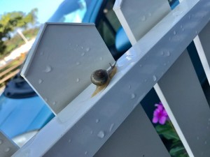 017559fe9fdc9bf4d7861e274af0a5850f2cb5caca