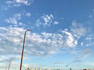 0195362d54b636282139a76829956bc38a81af8a47