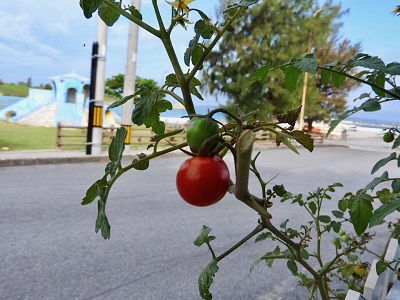 019aa64030ee48c87f12dfd06af8715f99058415ad