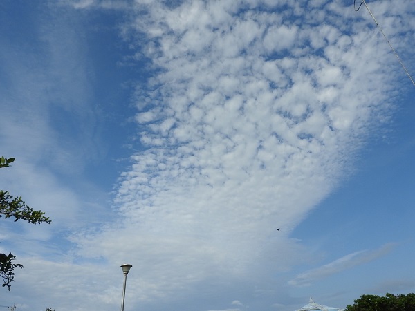 019ab735ab327ba7de34603c78f661812a3821012a