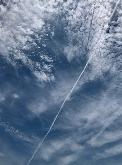 01a6995c10d0d371afaf171951a7feeca1f33d48c5